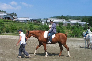 遠野馬の里