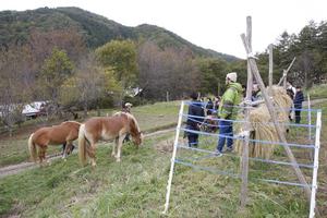 クイーンズメドウ視察風景2