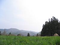 山口デンデラ野