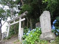 多賀神社と御神木