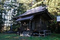 鱒沢四社・高舘八幡神社とエドヒガンザクラ1