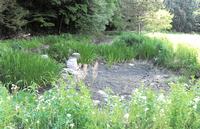 沼の御前とその周辺